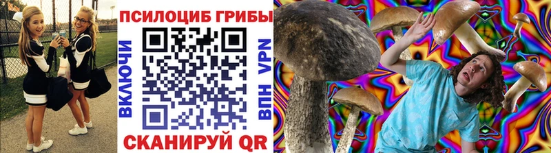 Галлюциногенные грибы MAGIC MUSHROOMS  блэк спрут зеркало  Куртамыш 